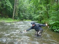 Fly fishing picture