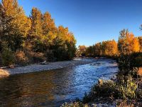 Fly fishing picture