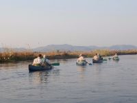 Fly fishing picture