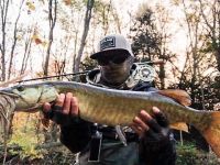 Pa Muskie #1