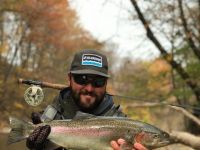 Steelhead