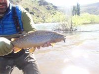 Fly fishing picture