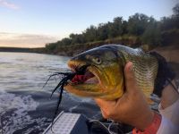 Foto de pesca con mosca