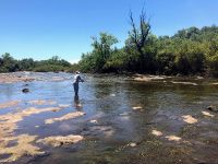 Foto de pesca con mosca