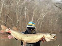 First Musky-Rod Breaker