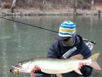 Second Musky-Fly Breaker