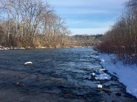 Fly fishing picture