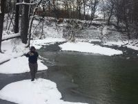 Fly fishing picture