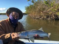 Fly fishing picture