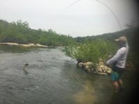 Fly fishing picture