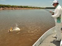 Fly fishing picture