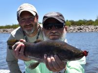 Fly fishing picture