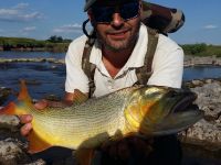 Tremendo al primer tiro se prende este hermoso dorado de arroyo.