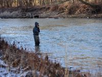 Fly fishing picture