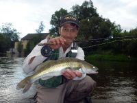 Evening walleye unexpectedly caught on small nymph