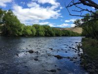 Fly fishing picture