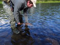 Fly fishing picture