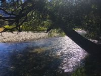 Fly fishing picture