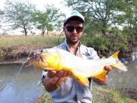 Foto de pesca con mosca