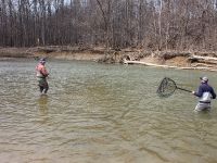 Fly fishing picture