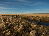 Fly fishing picture