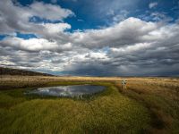 Fly fishing picture