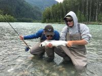 Upper Pitt River Bull trout