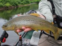 Foto de pesca con mosca