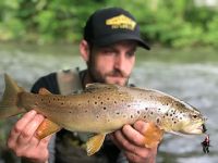 Ryan Wild Pa Brown Trout