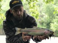 Pa Rainbow Trout