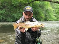 Ryan Wild Pa Brown Trout