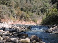 Foto de pesca con mosca