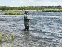 Fly fishing picture