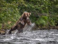 Foto de pesca con mosca