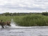 Foto de pesca con mosca