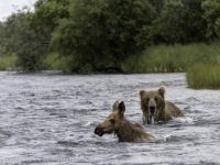 Foto de pesca con mosca