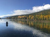 Fly fishing picture