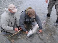 Fly fishing picture