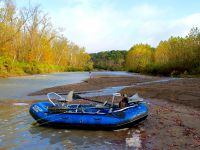 Fly fishing picture