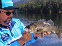 Australian Bass love flies!