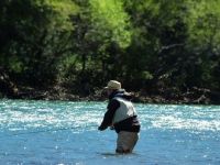 Fly fishing picture