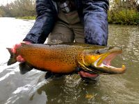 Foto de pesca con mosca