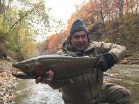 Erie Steelhead Fall 2018