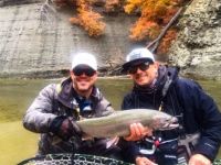 Erie Steelhead Fall 2018