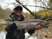 Erie Steelhead Fall 2018