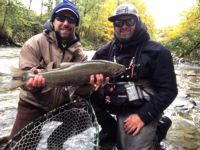 Erie Steelhead Fall 2018 