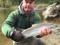 Erie Steelhead Fall 2018