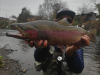 Fly fishing picture