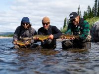 Fly fishing picture