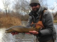 Fly fishing picture